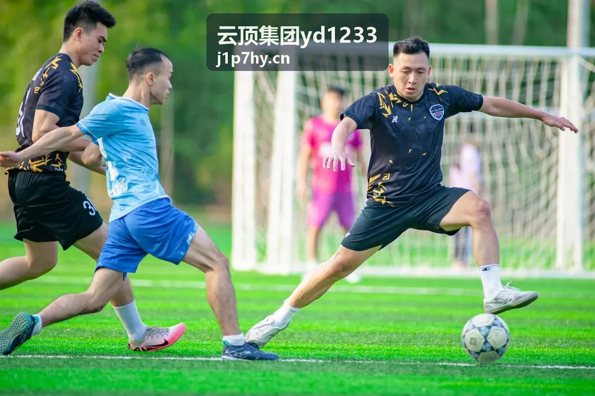 云顶集团yd1233品牌动态资讯